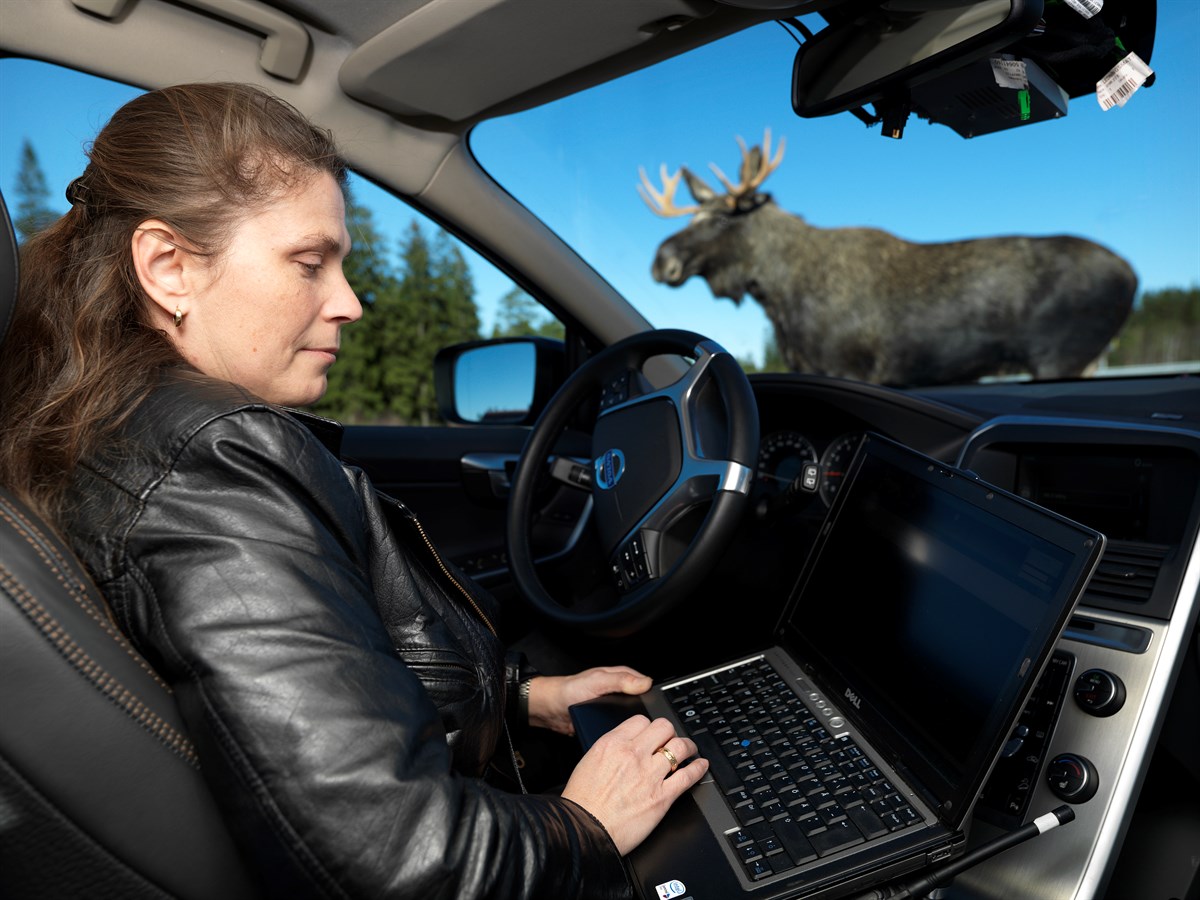 Carina Björnsson, Volvo Car Corporation, arbeitet derzeit an einem System mit automatischer Tier-Erkennung