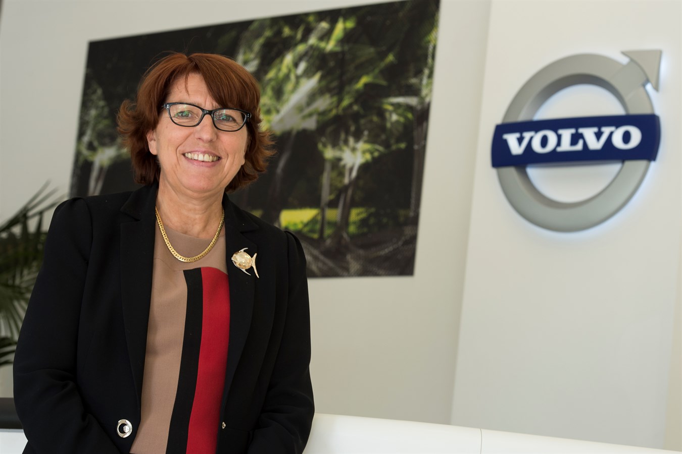 Brigitte Laporte Directrice Financière Volvo Car France 