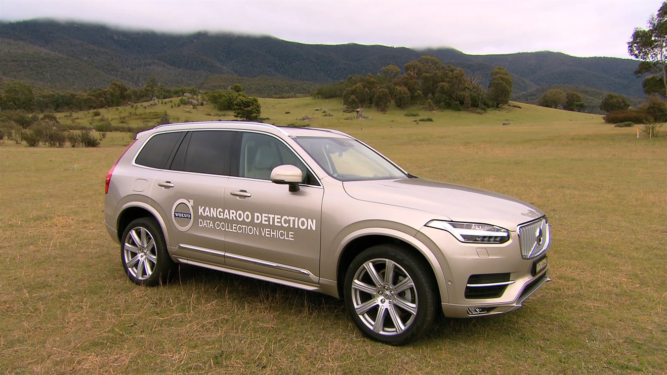 Volvo auf Forschungsreise in Australien: City Safety erkennt künftig auch Kängurus