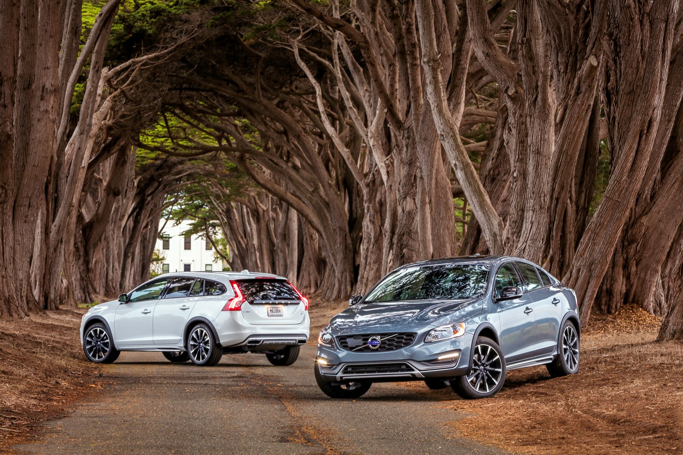 Volvo S60 Cross Country and V60 Cross Country - model year 2016