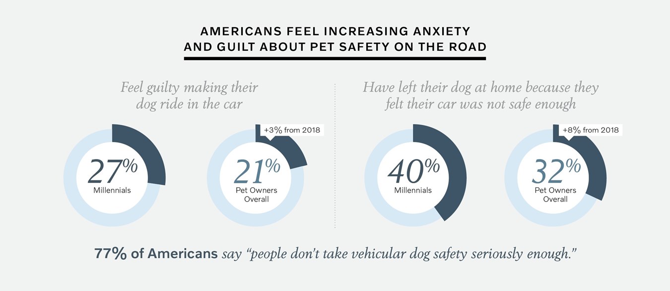 Study: Unrestrained Pets Increase Stress and Distraction on the Road
