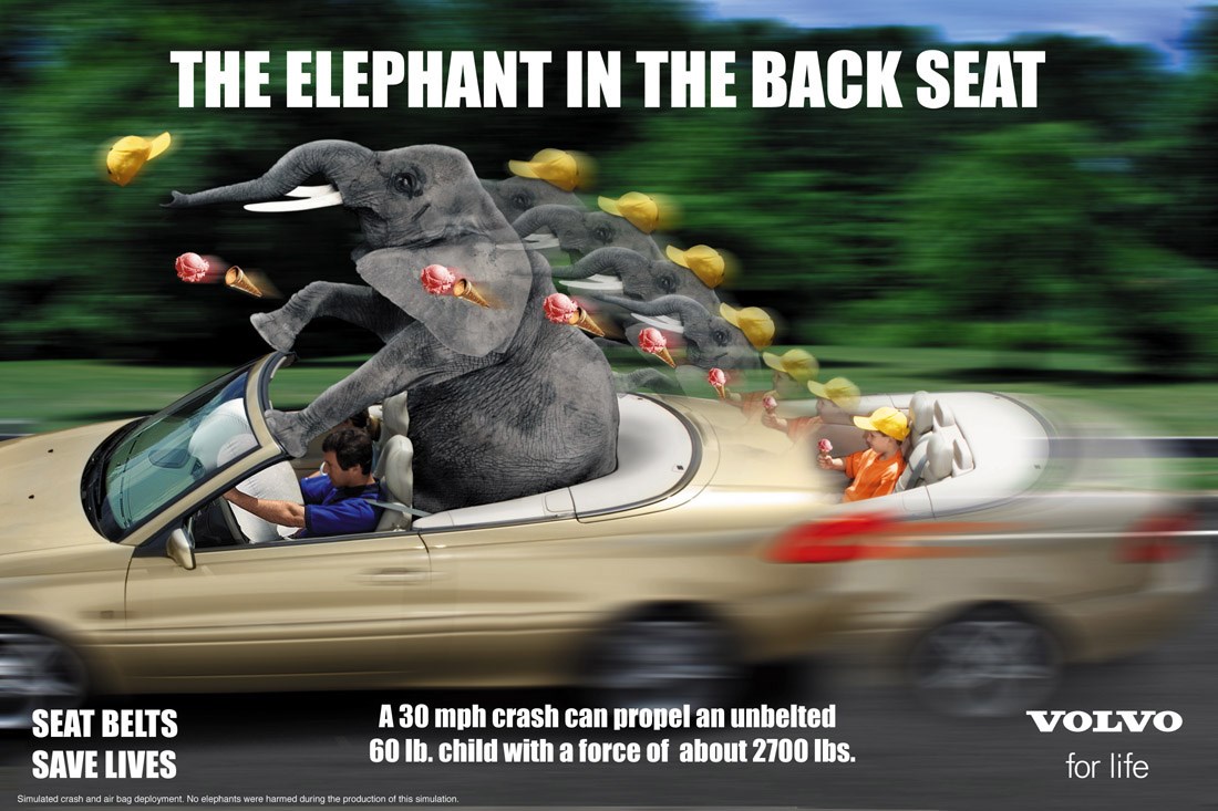 The Elephant in the Back Seat
