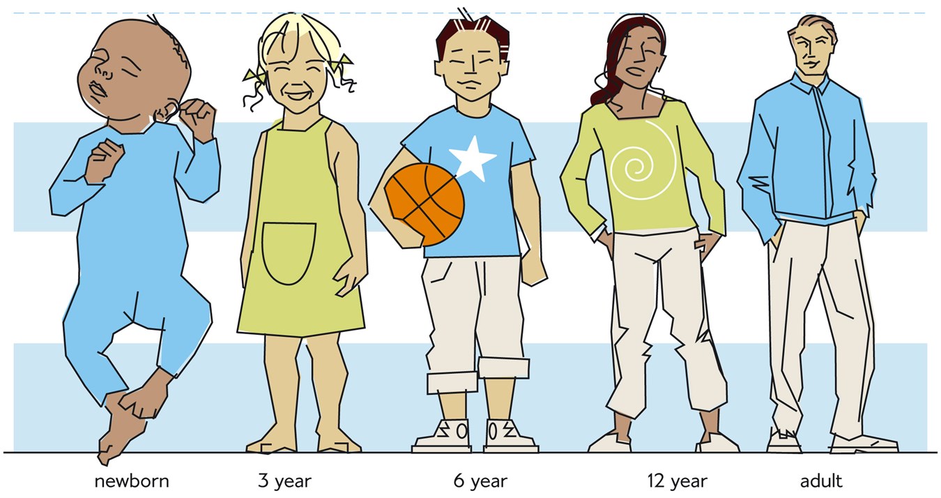 Illustrazione delle proporzioni dei bambini