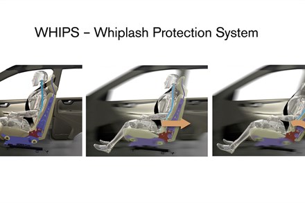 Findings Show WHIPS Work