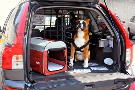 Volvo supports expansion of Bark Buckle Up into Canada