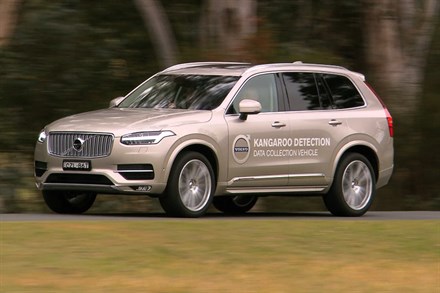 Volvo Cars begins first ever Australian tests for kangaroo safety research - B-roll